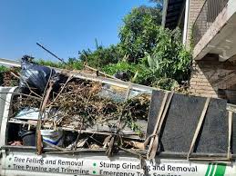 Demolition Debris Removal in Royston, GA